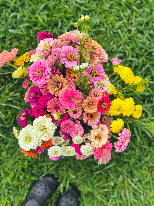 Bulk Bloom Bucket