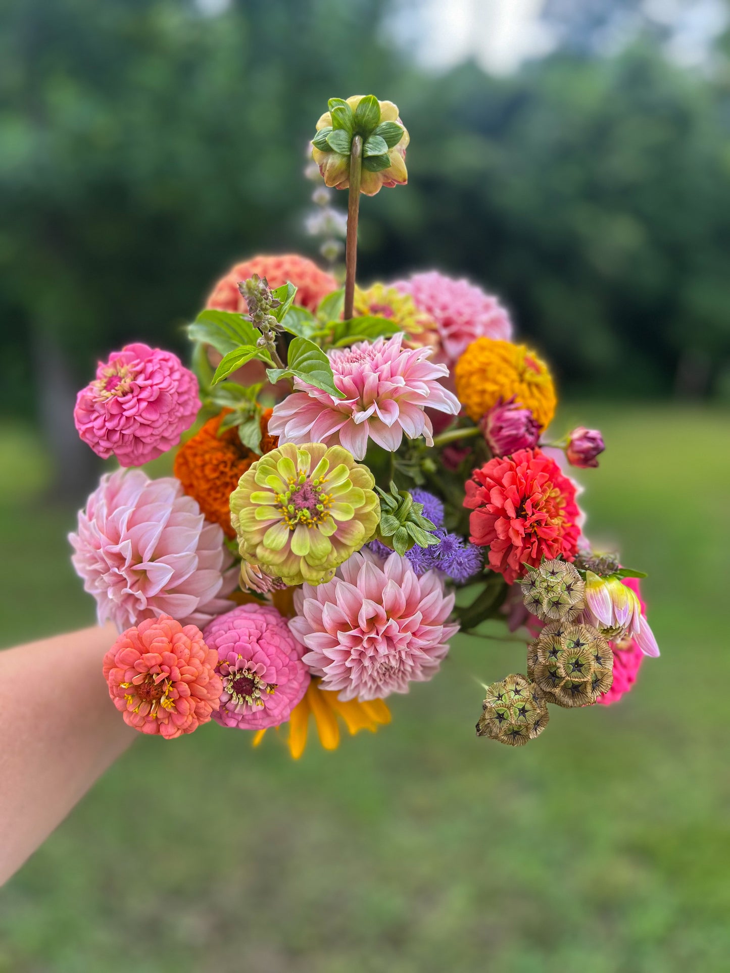 The Grown & Gathered: Seasonal Bouquet