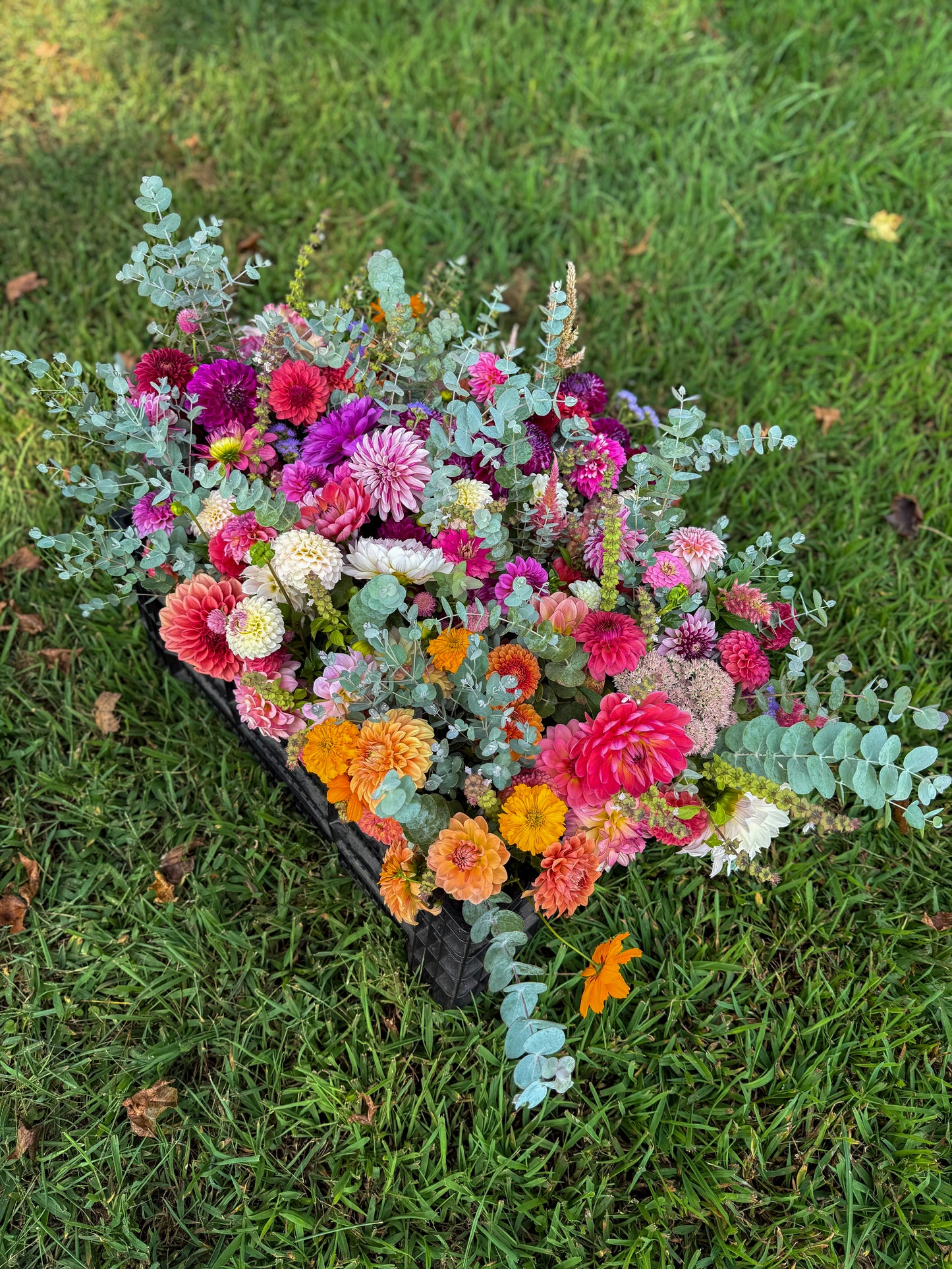 Monthly Bouquet Subscription