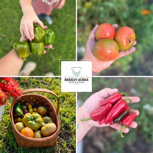 Veggie Garden Kit